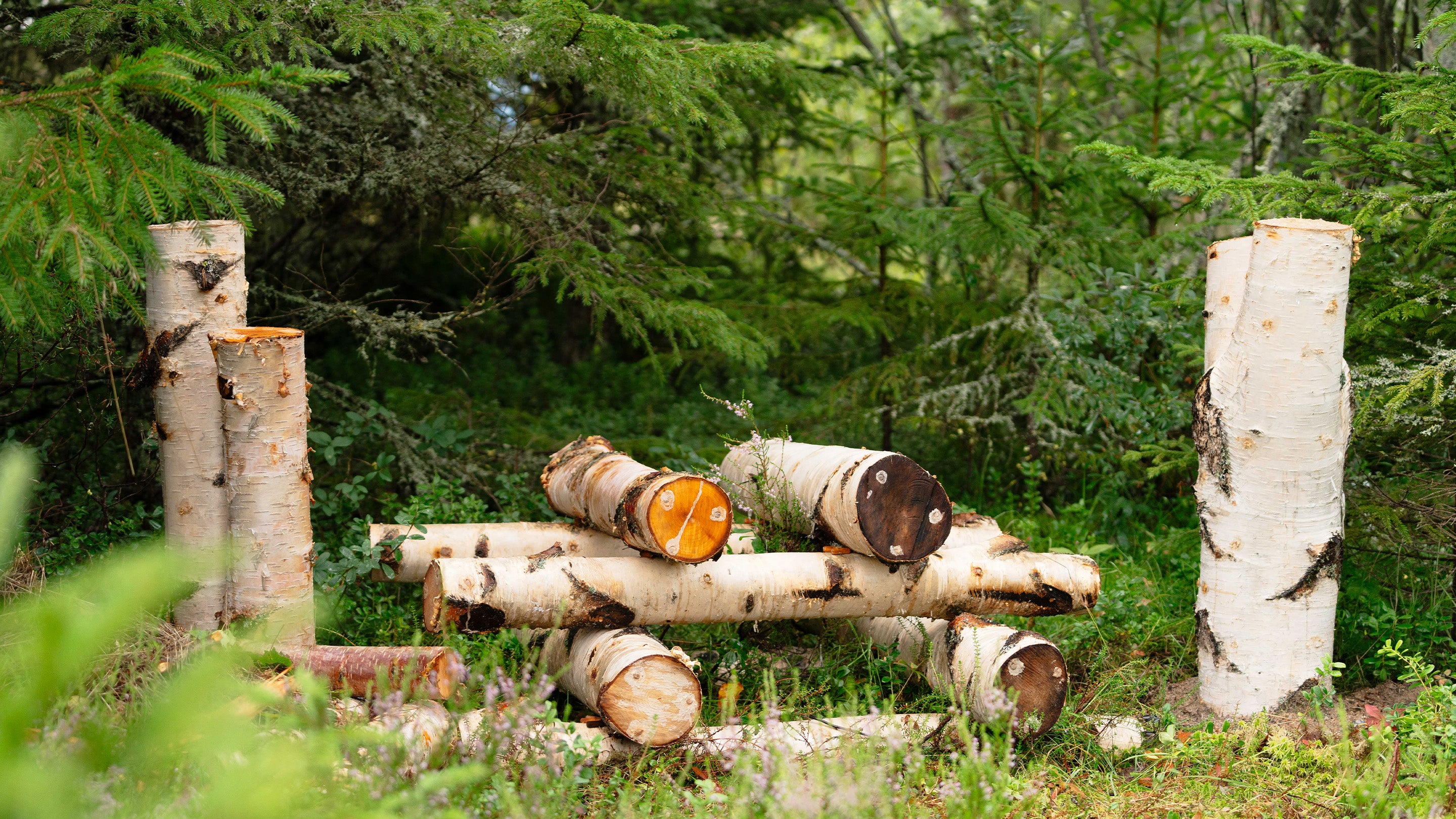 Pilzzucht auf Holzstämmen