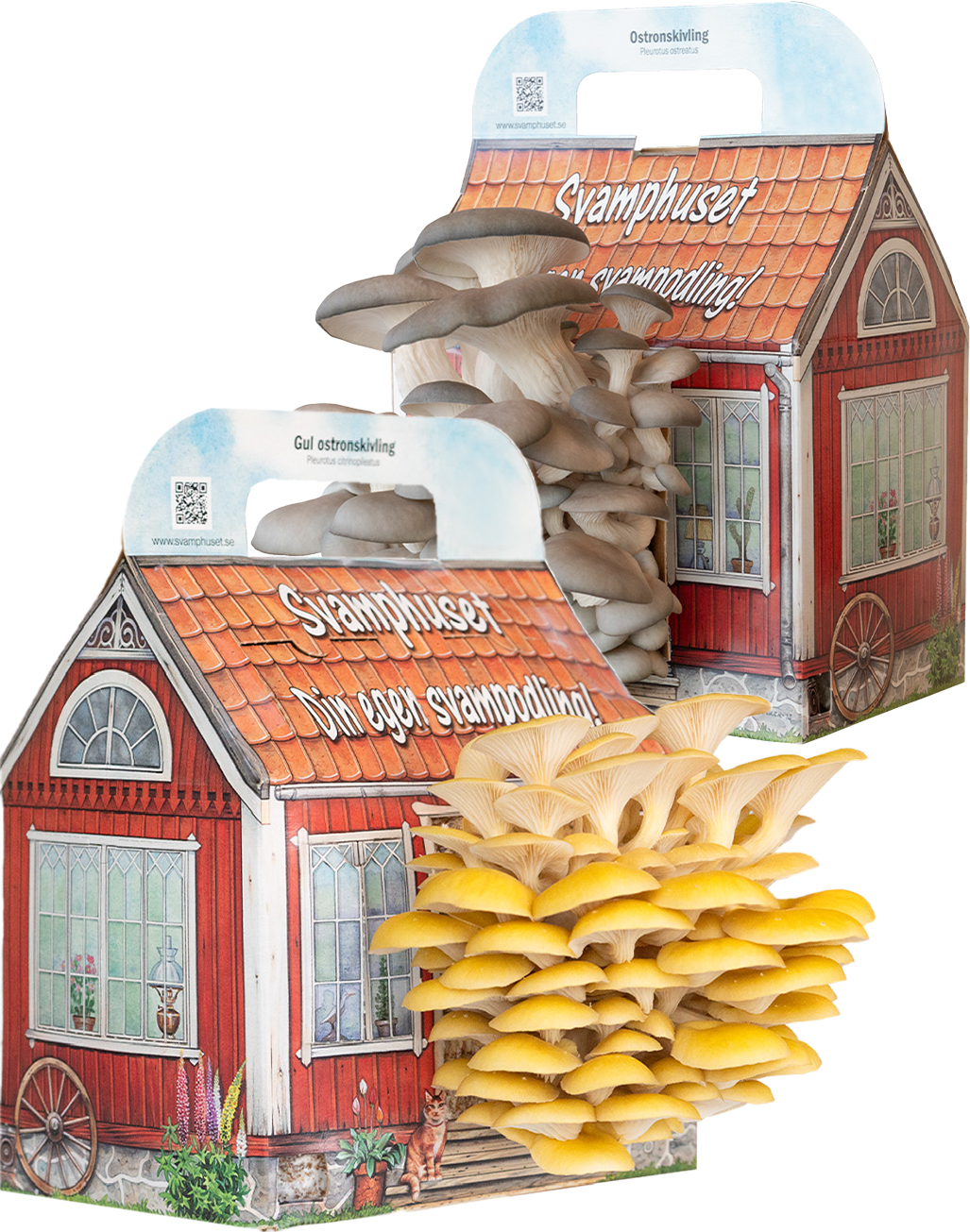 2 x Svamphus 10% Mängdrabatt Svamphus-kit Svamphuset Svamphus orginal