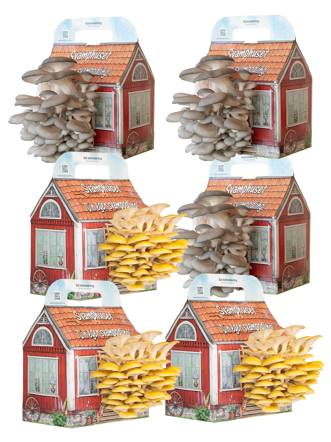 6 x Svamphus 30% Mängdrabatt Svamphus-kit Svamphuset Svamphus orginal