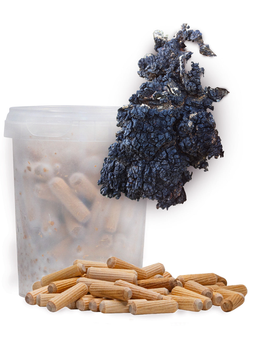 Sprängticka - Mycelplugg (Inonotus obliquus) Mycelplugg Min butik