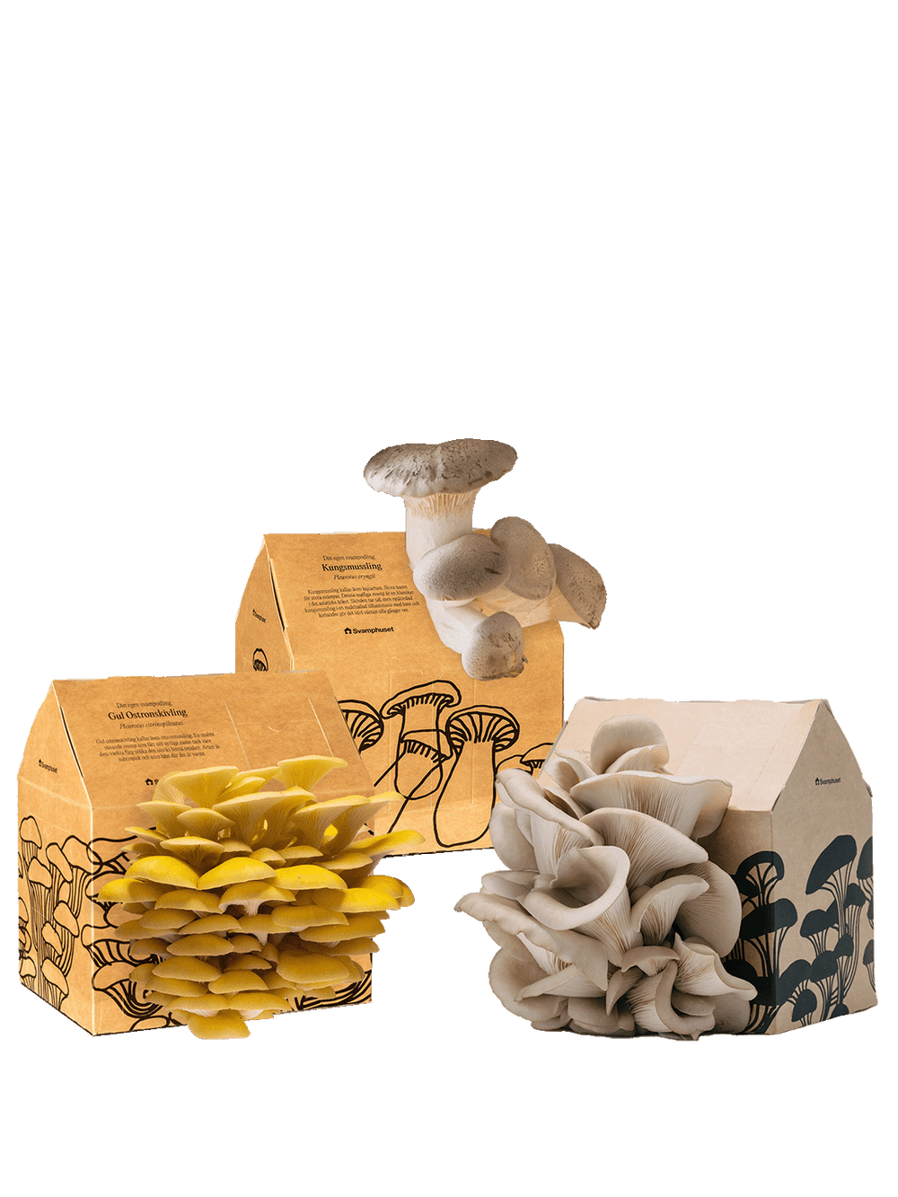 Svamphus-kit 20% mängdrabatt Svamphus-kit Svamphuset Svamphus-kit 2.0