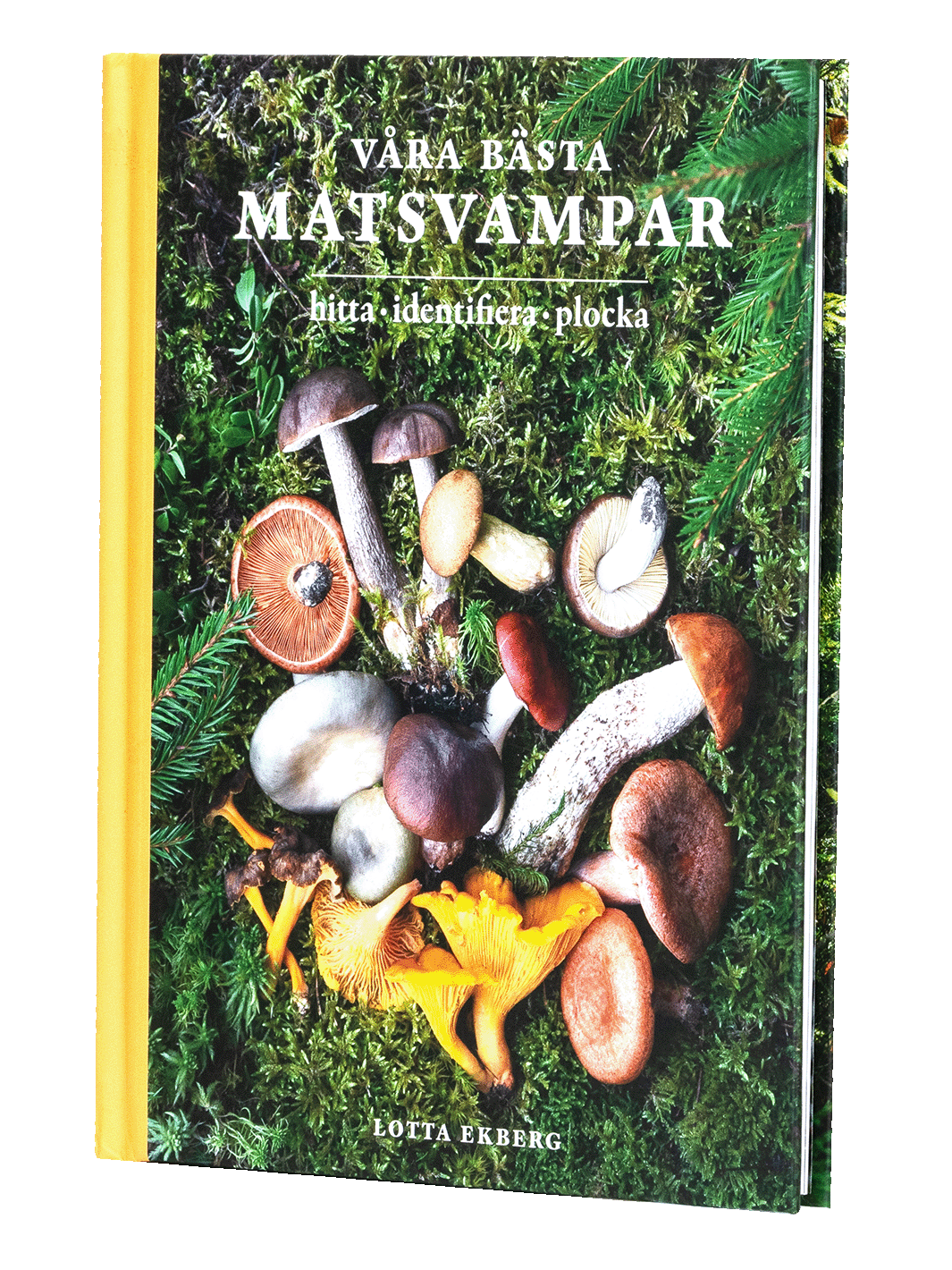 Våra bästa matsvampar svampbok Svamphuset