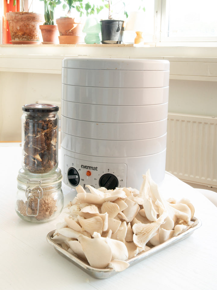 Evermat hushållstork med 6 plana ollor Svamptorkar Min butik