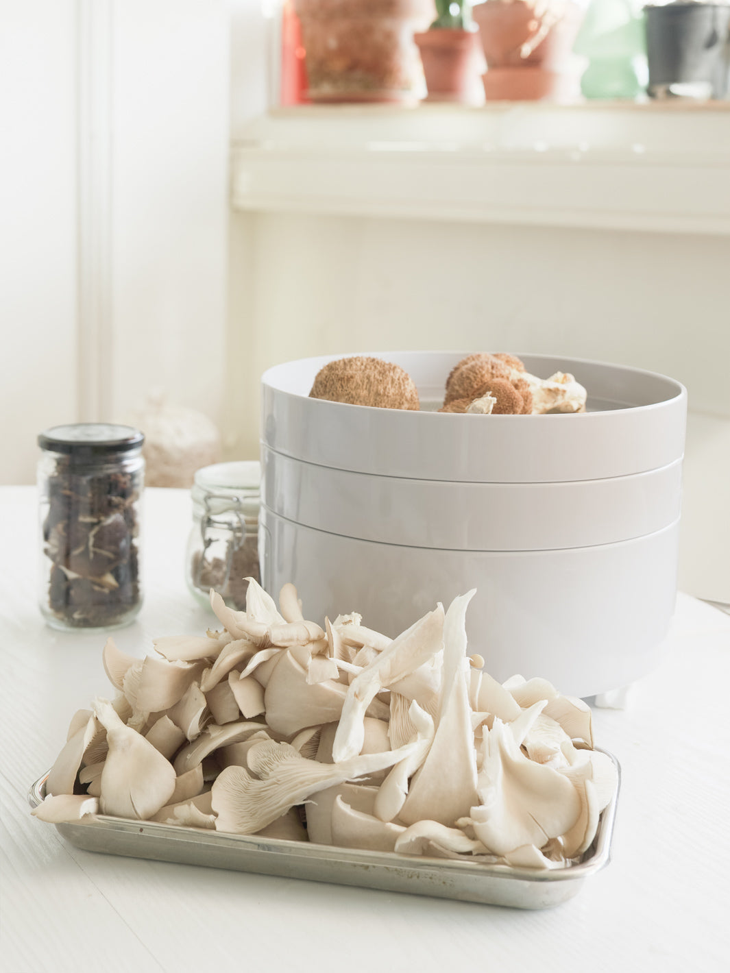 Evermat hushållstork med 6 plana ollor Svamptorkar Min butik