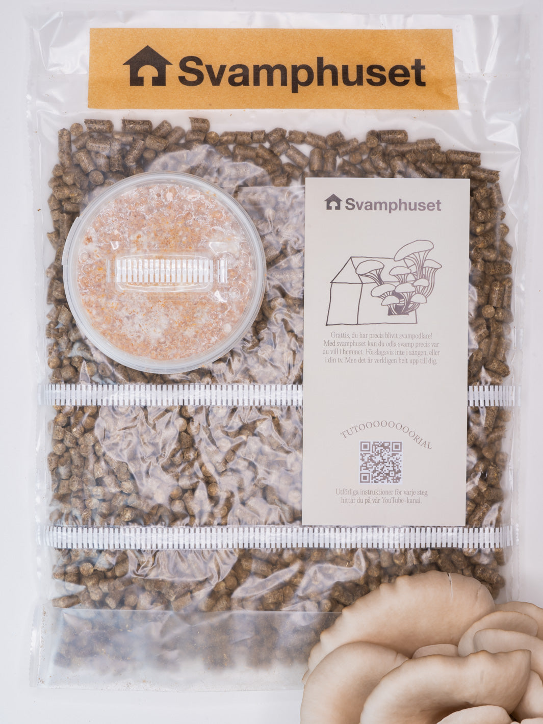 Svamphuset grå ostronskivling Svamphus Min butik