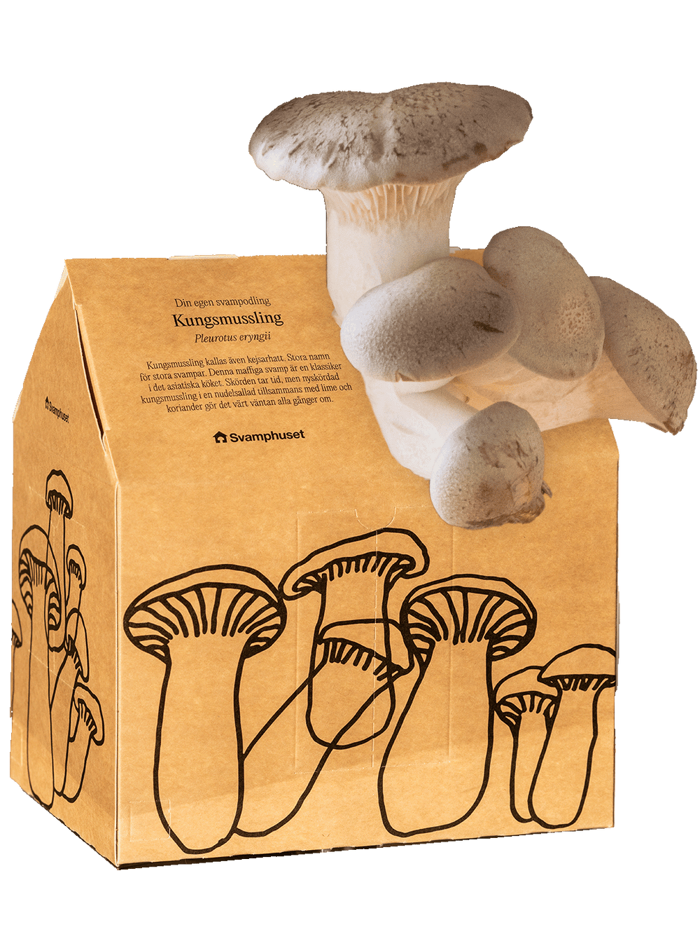 Svamphuset kungsmussling Svamphus Min butik Svamphuset Kungsmussling 2.0