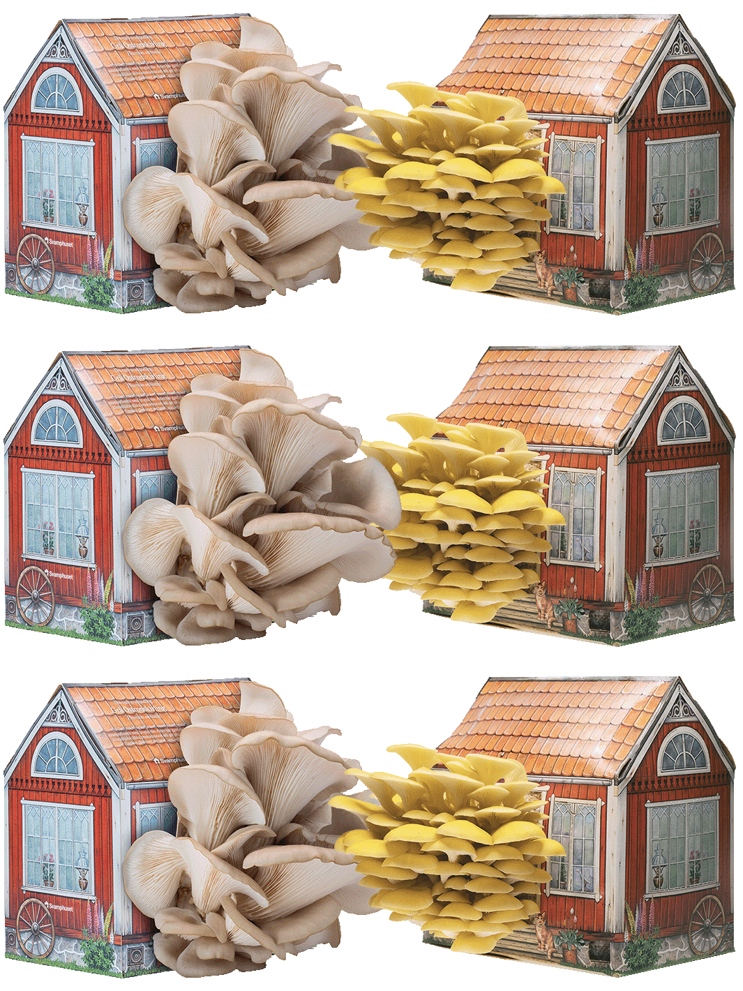 6 x Svamphus 30% Mängdrabatt Svamphus-kit Svamphuset Svamphus