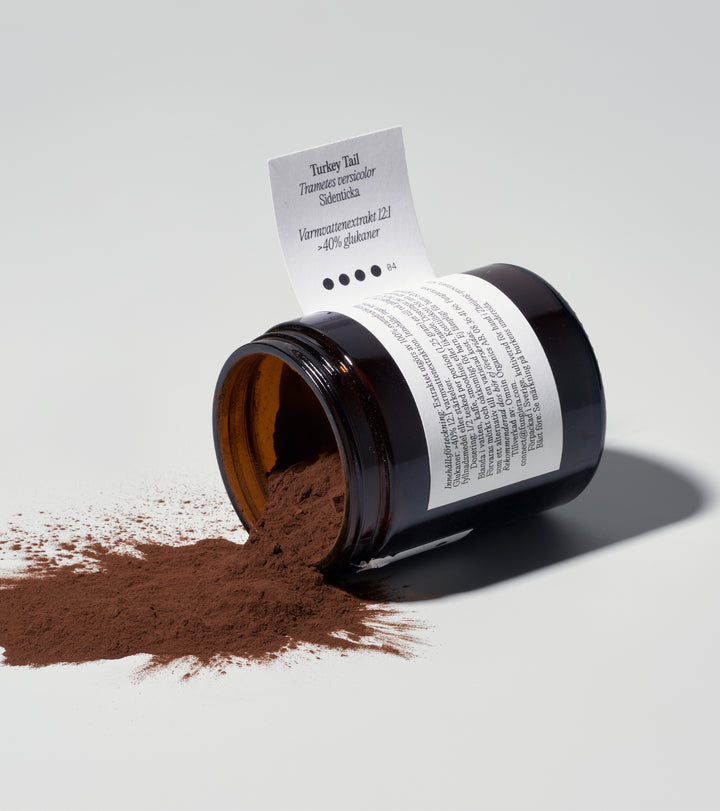 04 Turkey tail svampextrakt Kosttillskott Svamphuset