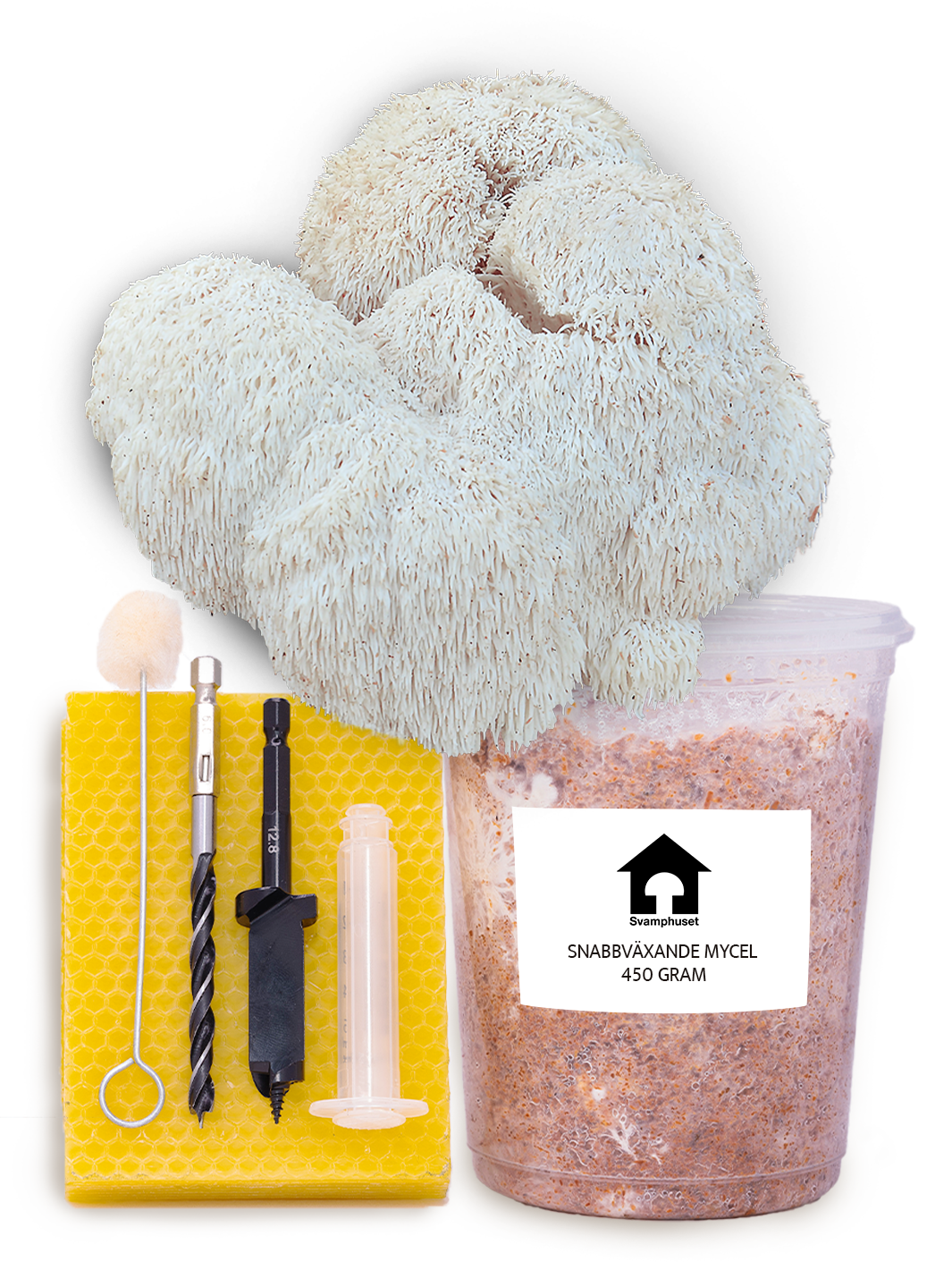 Igelkottstaggsvamp (Lions Mane) - Stockodlings-kit (Hericium erinaceus) Stockodlingskit Snabbväxande Min butik   