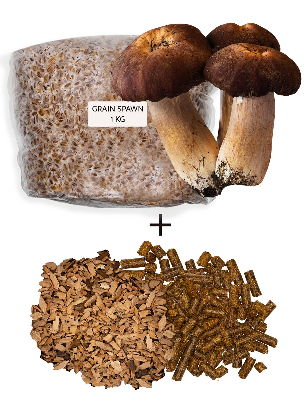 Jättekragskivlings-kit för trädgårdsodling Trädgårdsodling Min butik