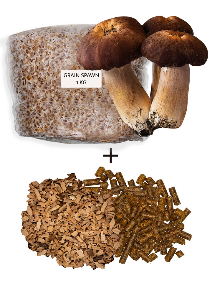 Jättekragskivlings-kit för trädgårdsodling Trädgårdsodling Min butik