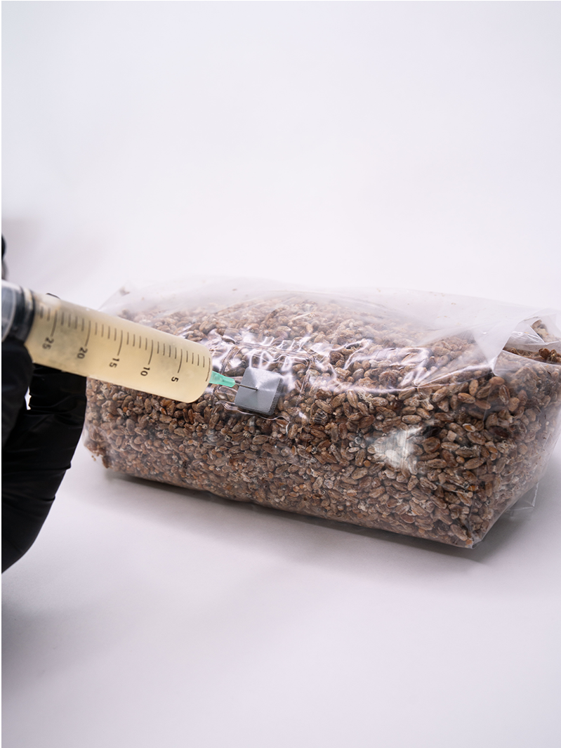 Odlingspåse med injektionsport 10 st Odlingspåse med injektionsport Svamphuset