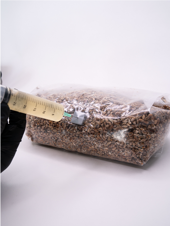 Odlingspåse med injektionsport 10 st Odlingspåse med injektionsport Svamphuset