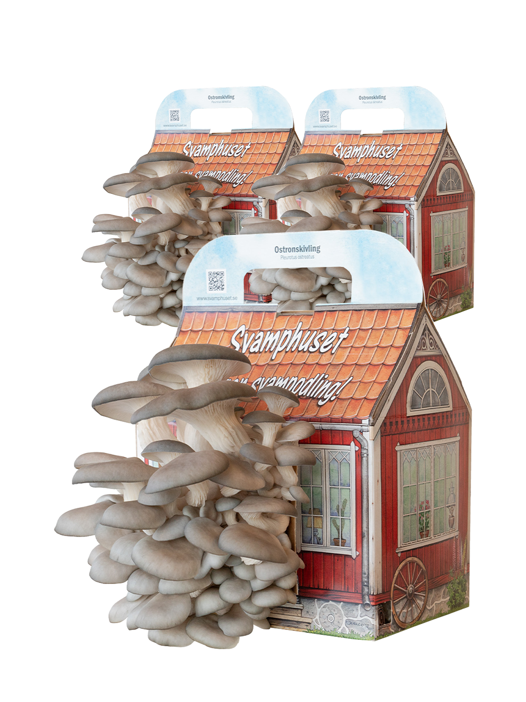 Svamphus-kit 3 x Grå ostronskivling 20% mängdrabatt Svamphus-kit Svamphuset