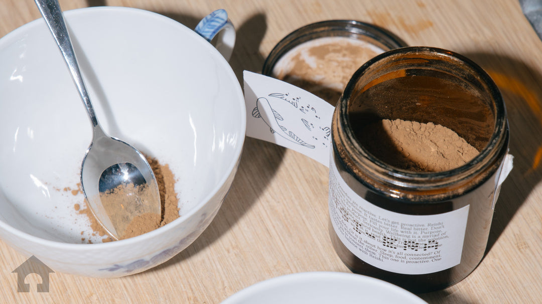 Svampkaffe – hälsofördelar, smak och varför det blivit en superdryck