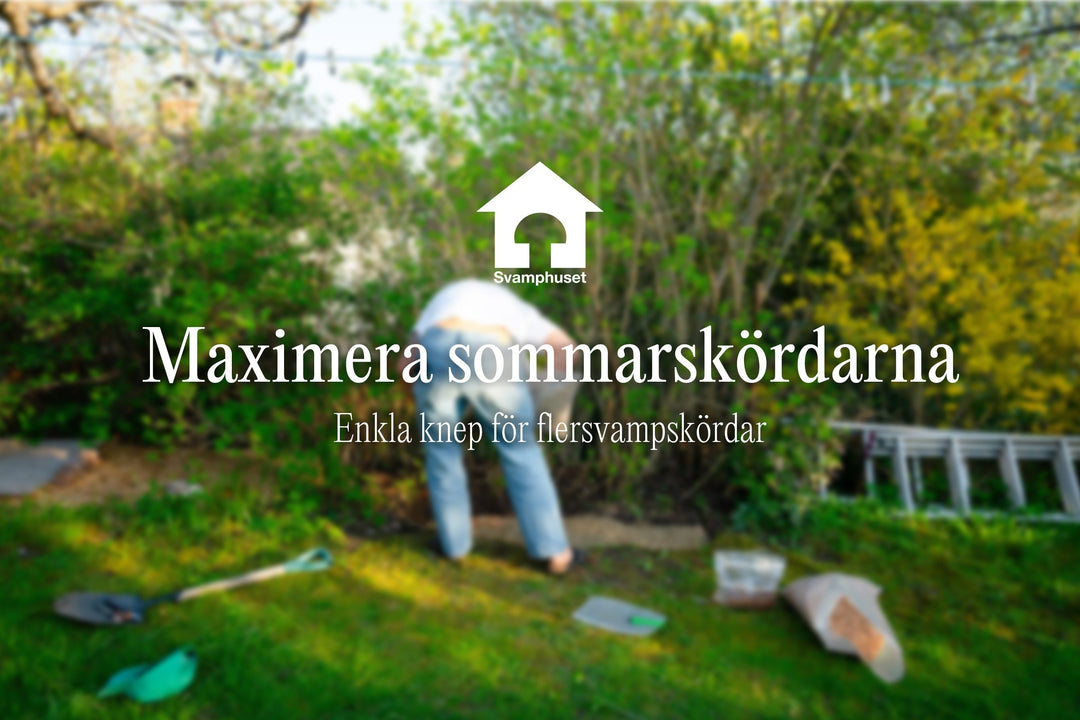 5 tips för att optimera din svampodling i sommar