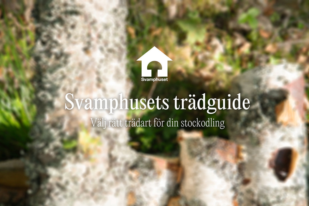 Svamphusets stockodlingsguide: Rätt trädart till rätt svamp