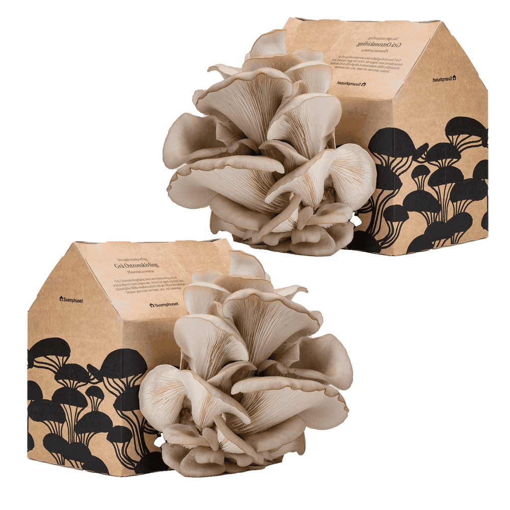 2-pack svamphus-kit svamphuset 