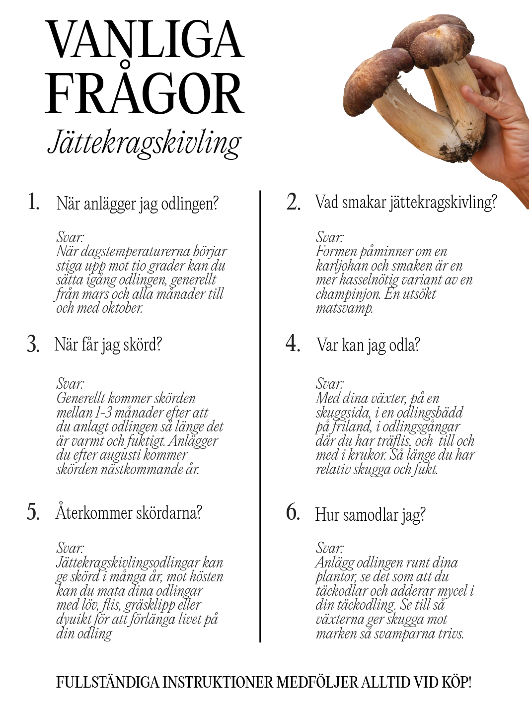 Vanliga frågor om Jättekragskivling för svamphusets trädgårdsodlingskit