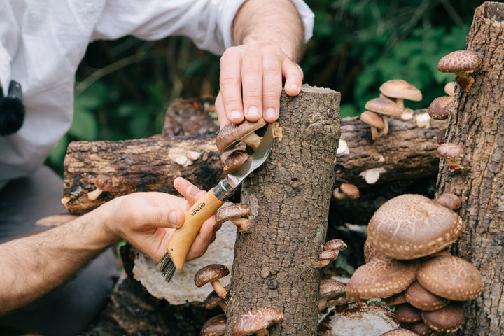 Opinel Pilzmesser No 08