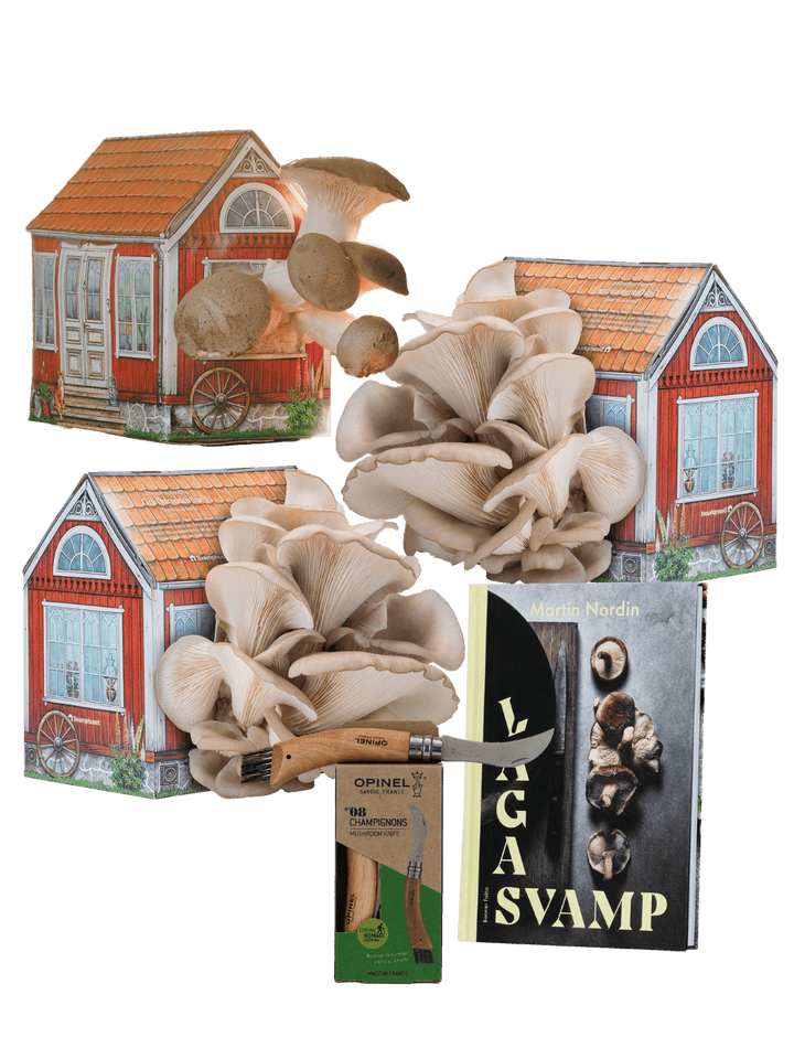 Odla & laga - Svamphus-kit + svampkniv + receptbok