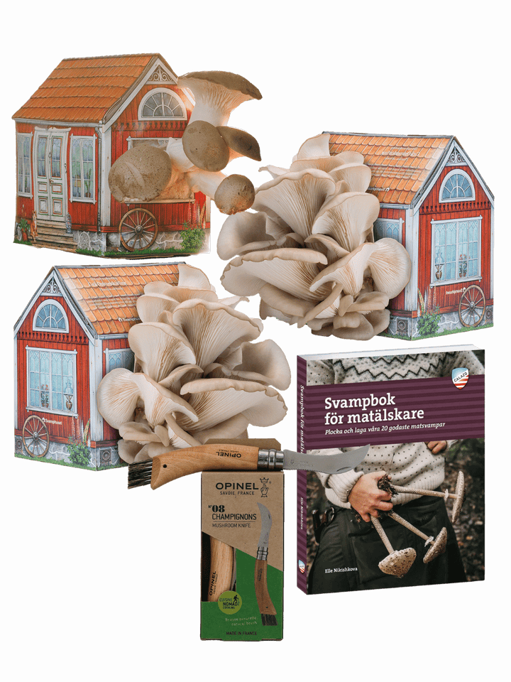 Svamphus-kit med svampkniv och svampbok, komplett paket för att odla och laga svamp, från Svamphuset. Odla & laga - Svamphus-kit + svampkniv + receptbok Svamphus-kit + bok + kniv Svamphuset