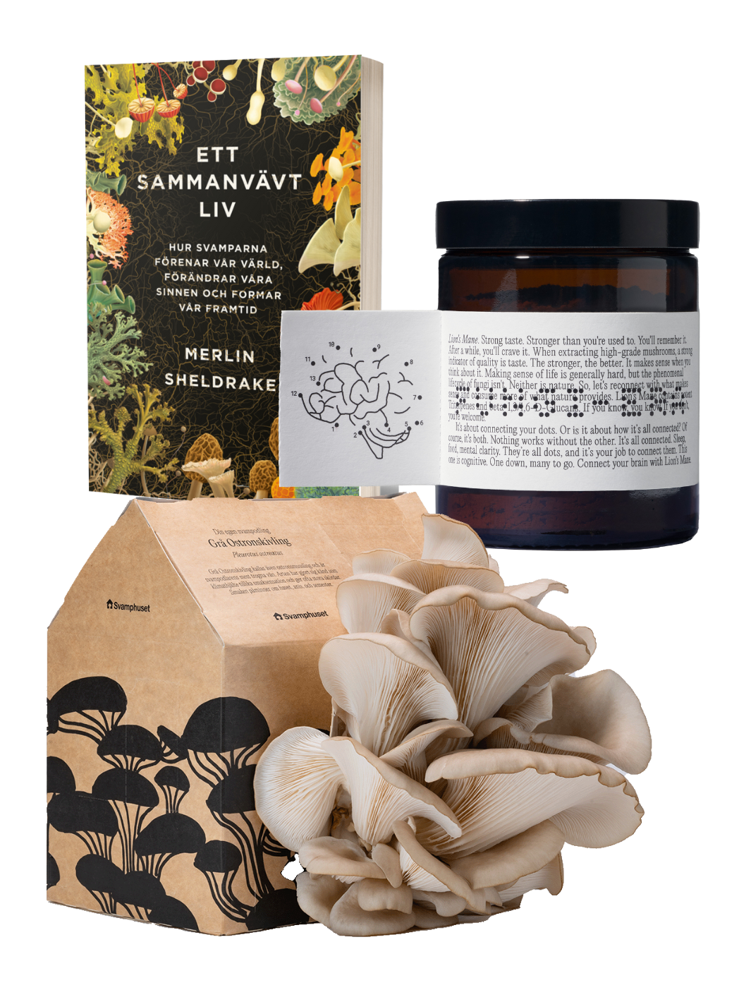 Odla, Läs & Upplev - Bok + Svamphus + Lion's mane Julkit Svamphuset 2.0 (Kartong-färgat)