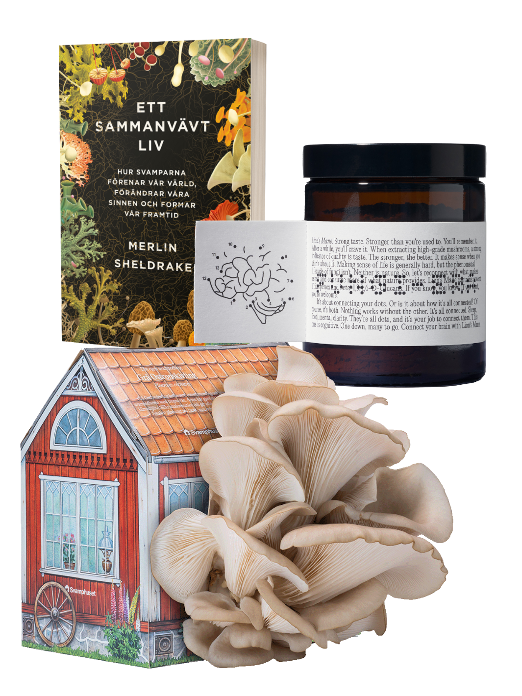 Odla, Läs & Upplev - Bok + Svamphus + Lion's mane Julkit Svamphuset Original (rött hus)
