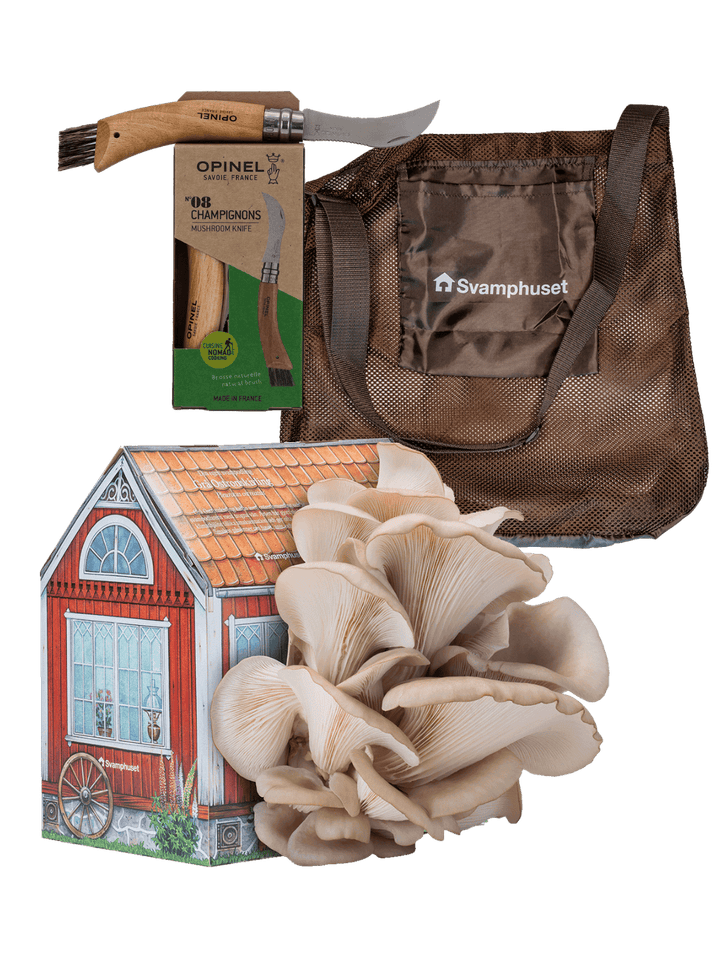 Odla & plocka - Svamphus + svampkniv + svampväska Svamphus + Kniv + väska Svamphuset