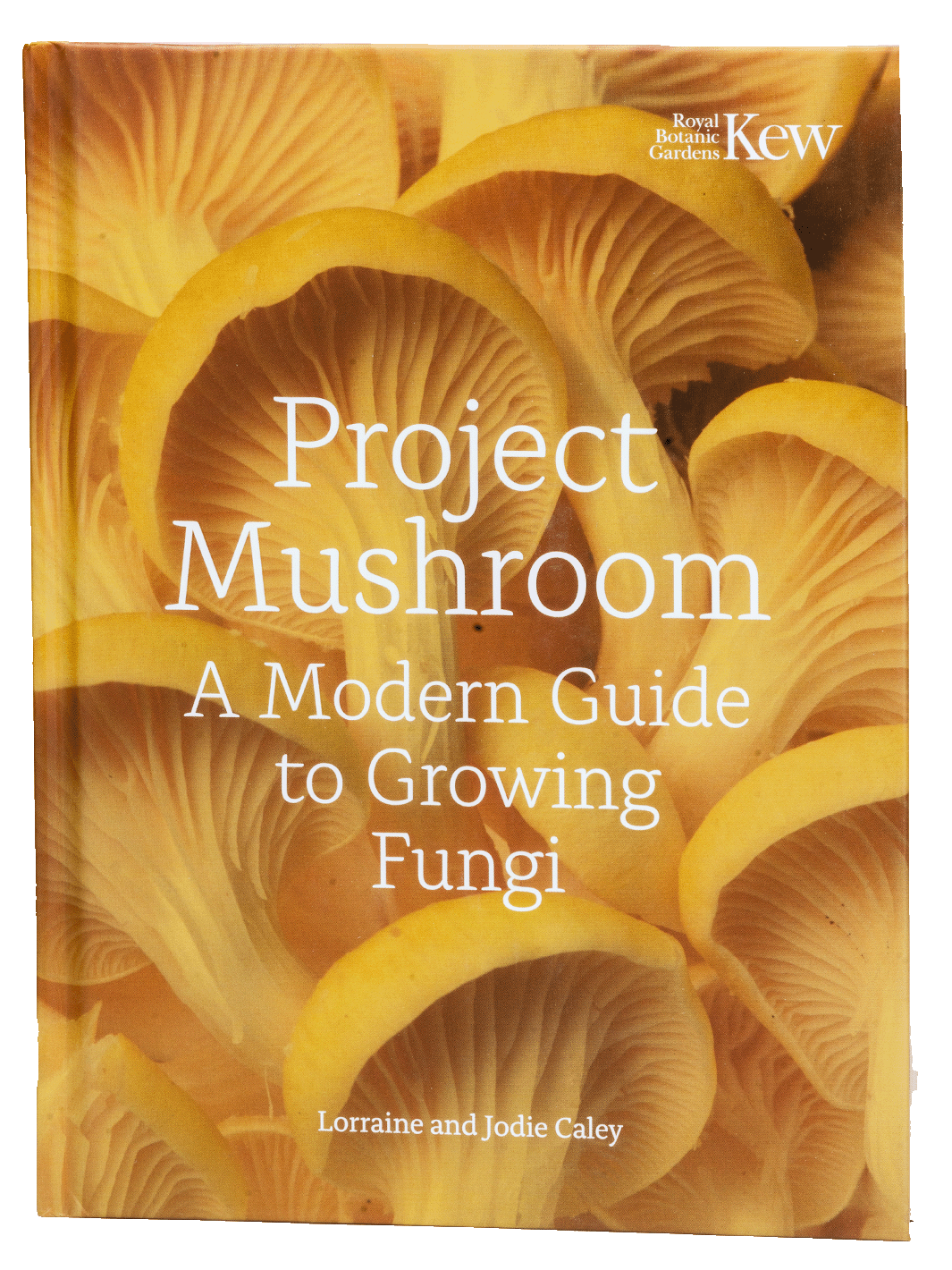 Project Mushroom svampbok Svamphuset