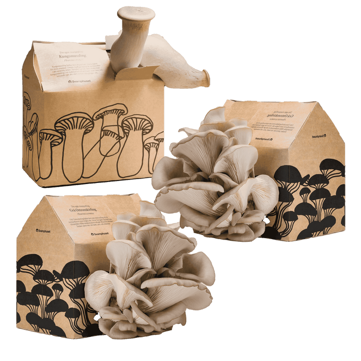 Svamphus-kit 20% mängdrabatt Svamphus-kit Svamphuset Svamphus-kit 2.0 (kartongfärgat)