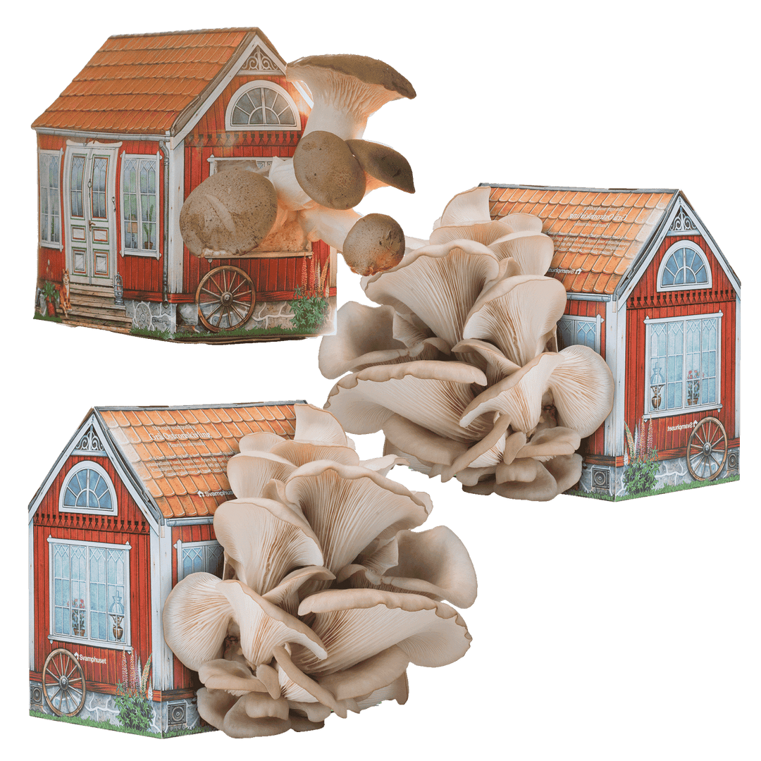 Svamphus-kit 20% mängdrabatt Svamphus-kit Svamphuset