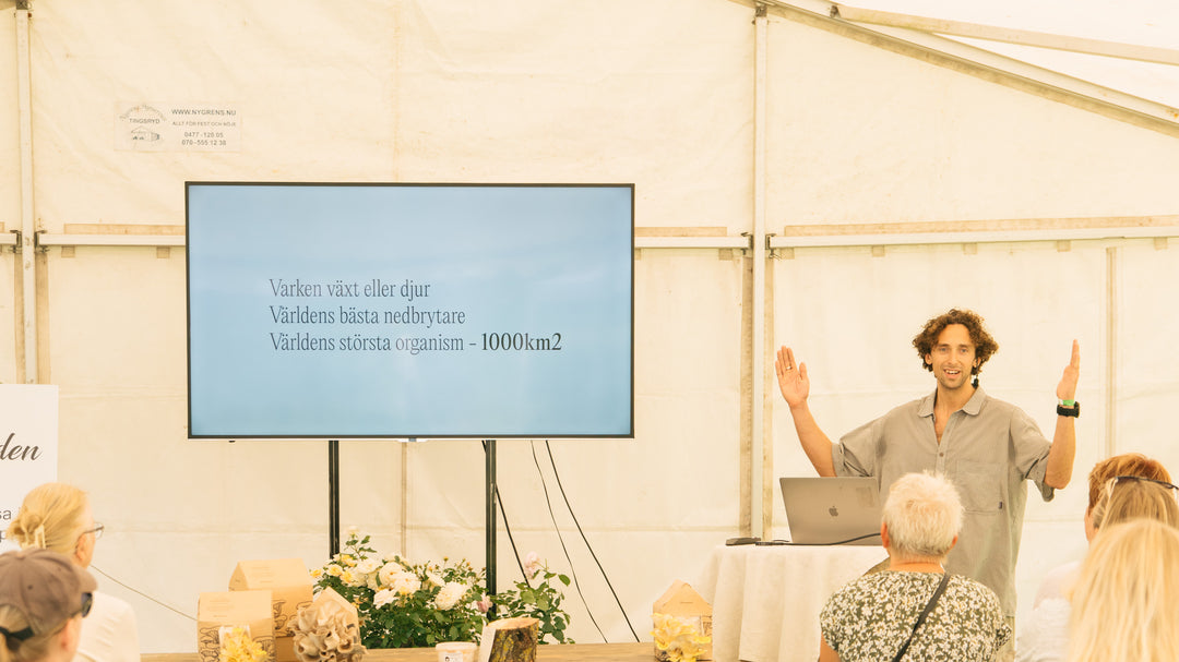 Fabian Omne på föreläsning i Skåne om svampodling