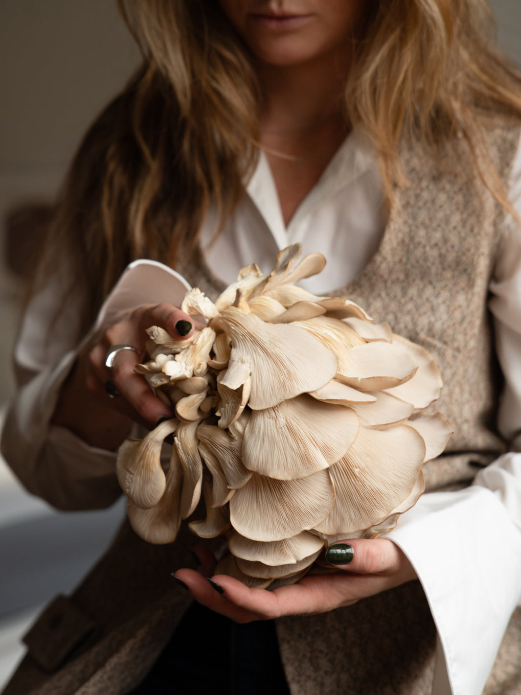 Svamphus-kit 25% mängdrabatt Svamphus-kit Svamphuset