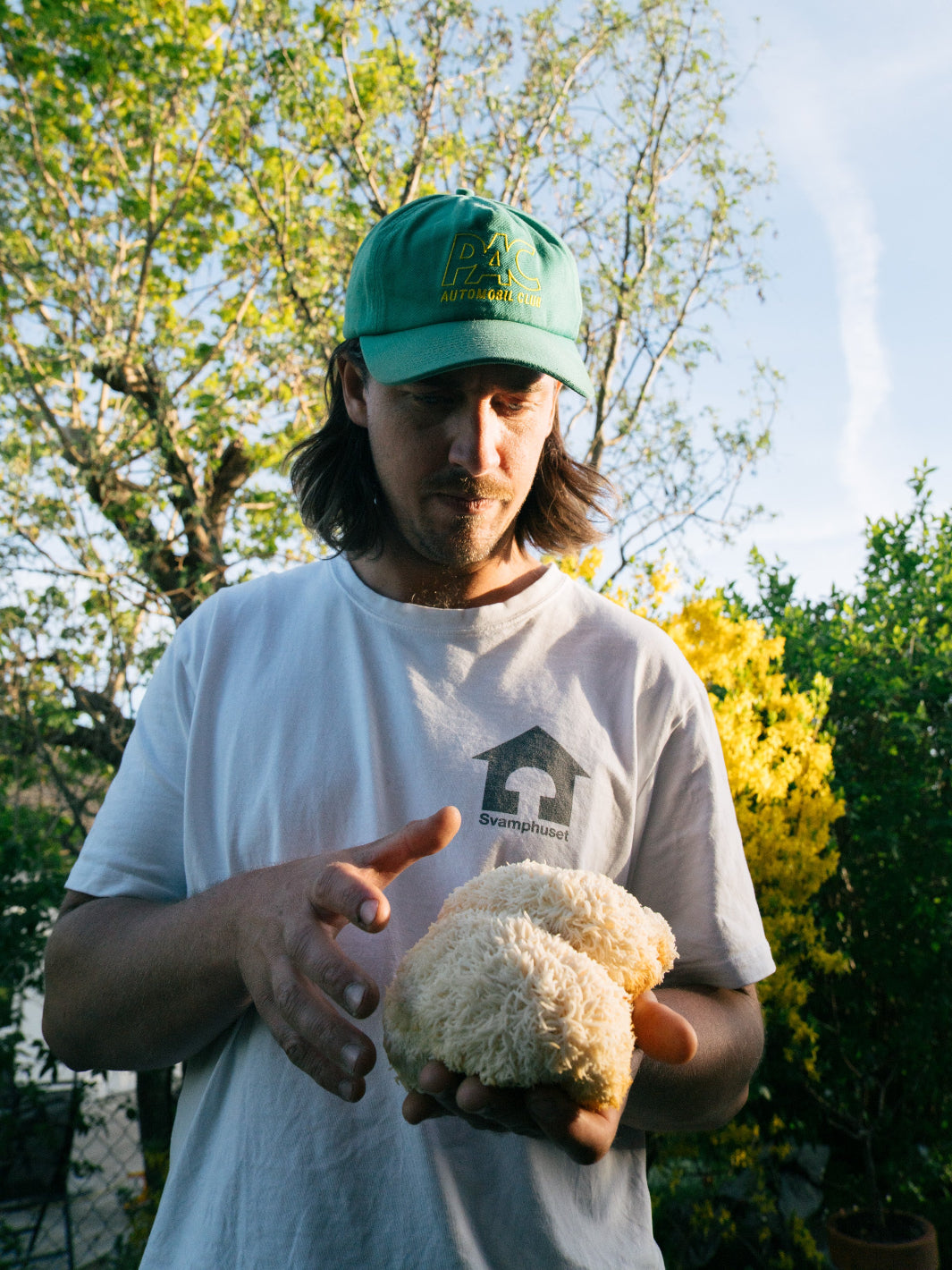 Emil skördar en lion s mane av prima kvalitet.