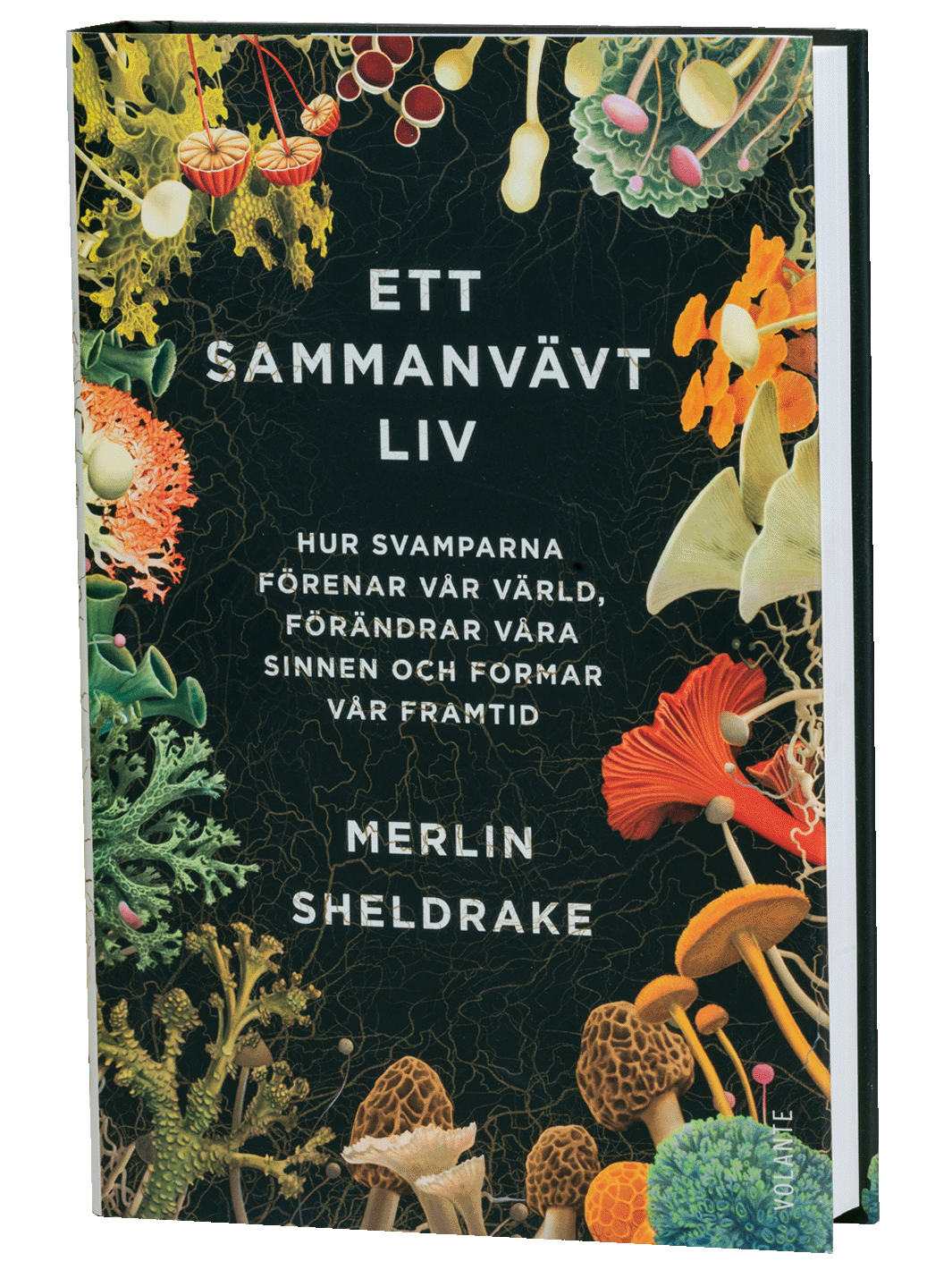 ett sammanvävt liv är boken av merlin sheldrake alla svampintresserade borde läsa