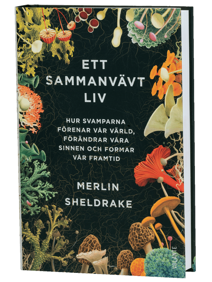 Ett sammanvävt liv Svamphuset