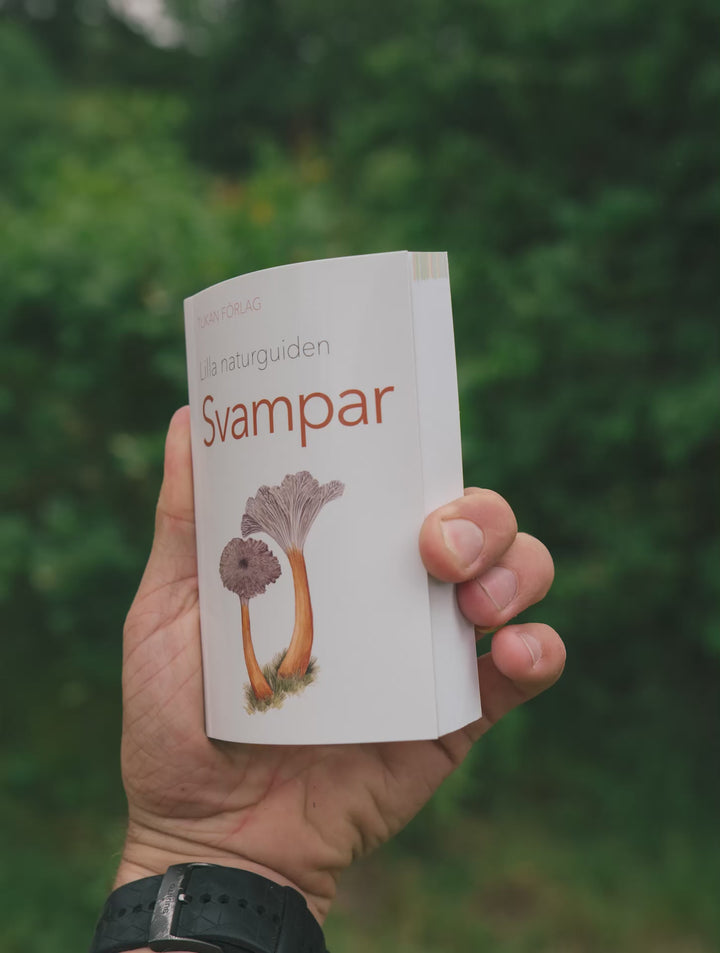 Svampplockar-kit pro – väska, svampkniv & svampbok Svampplockar-kit pro Svamphuset