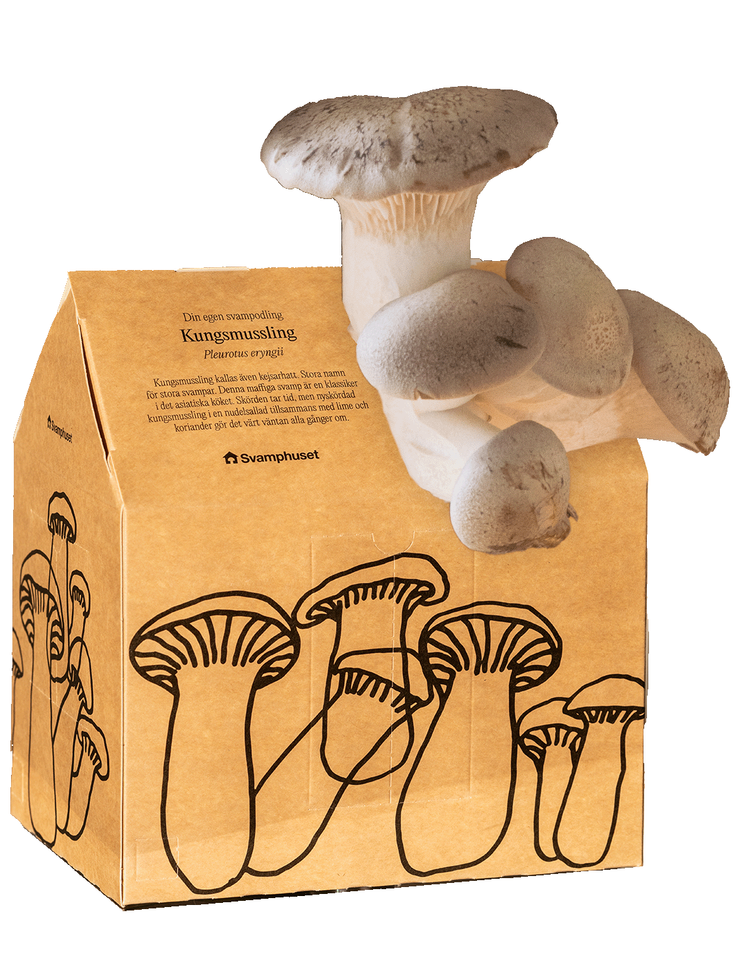 Svamphuset kungsmussling Svamphus Min butik Svamphuset Kungsmussling 2.0  