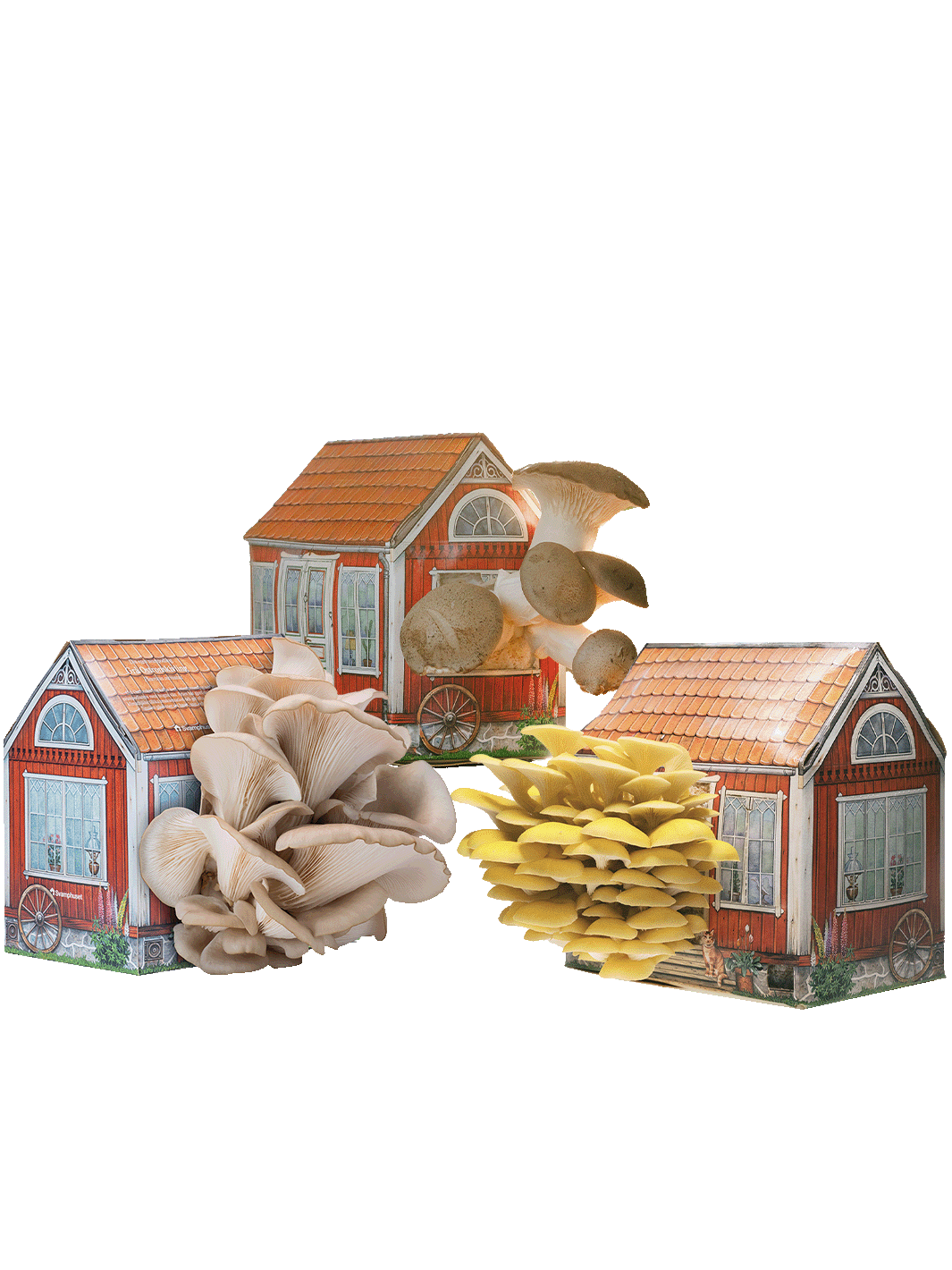 Svamphus-kit 20% mängdrabatt Svamphus-kit Svamphuset Svamphus-kit