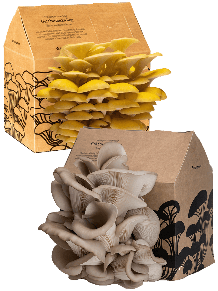 Svamphuset min butik svamphuset.com