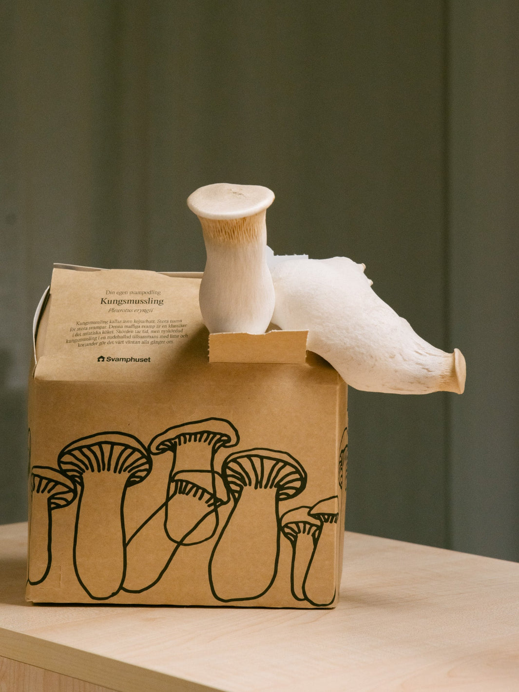 Svamphus-kit 25% mängdrabatt Svamphus-kit Svamphuset