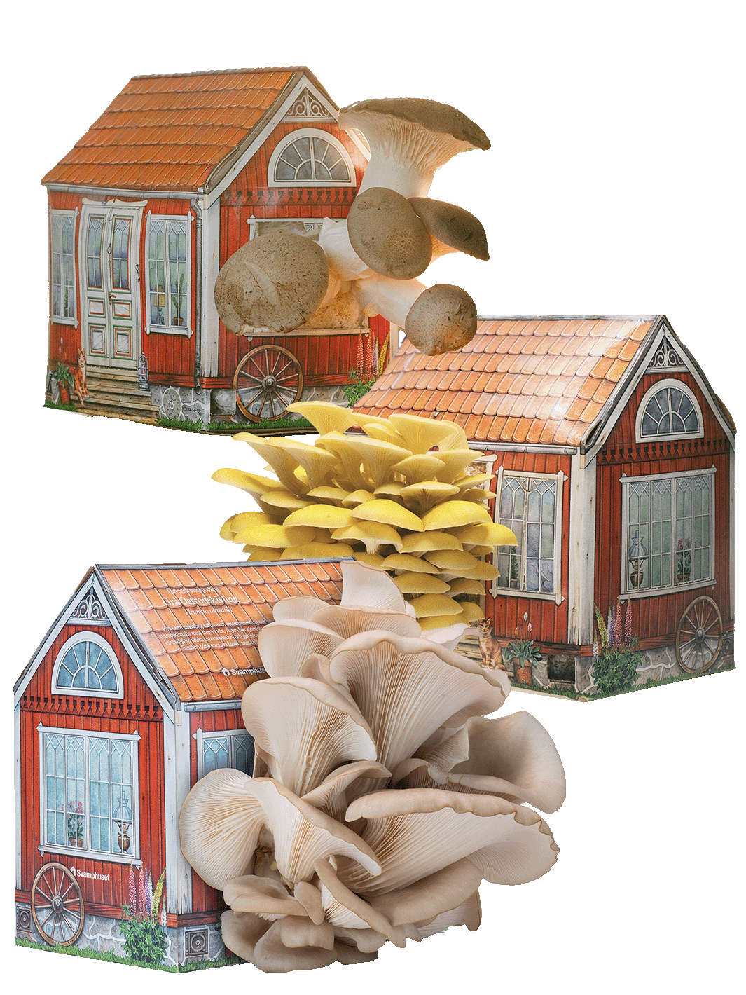 Svamphus-kit 25% mängdrabatt Svamphus-kit Svamphuset Svamphus-kit