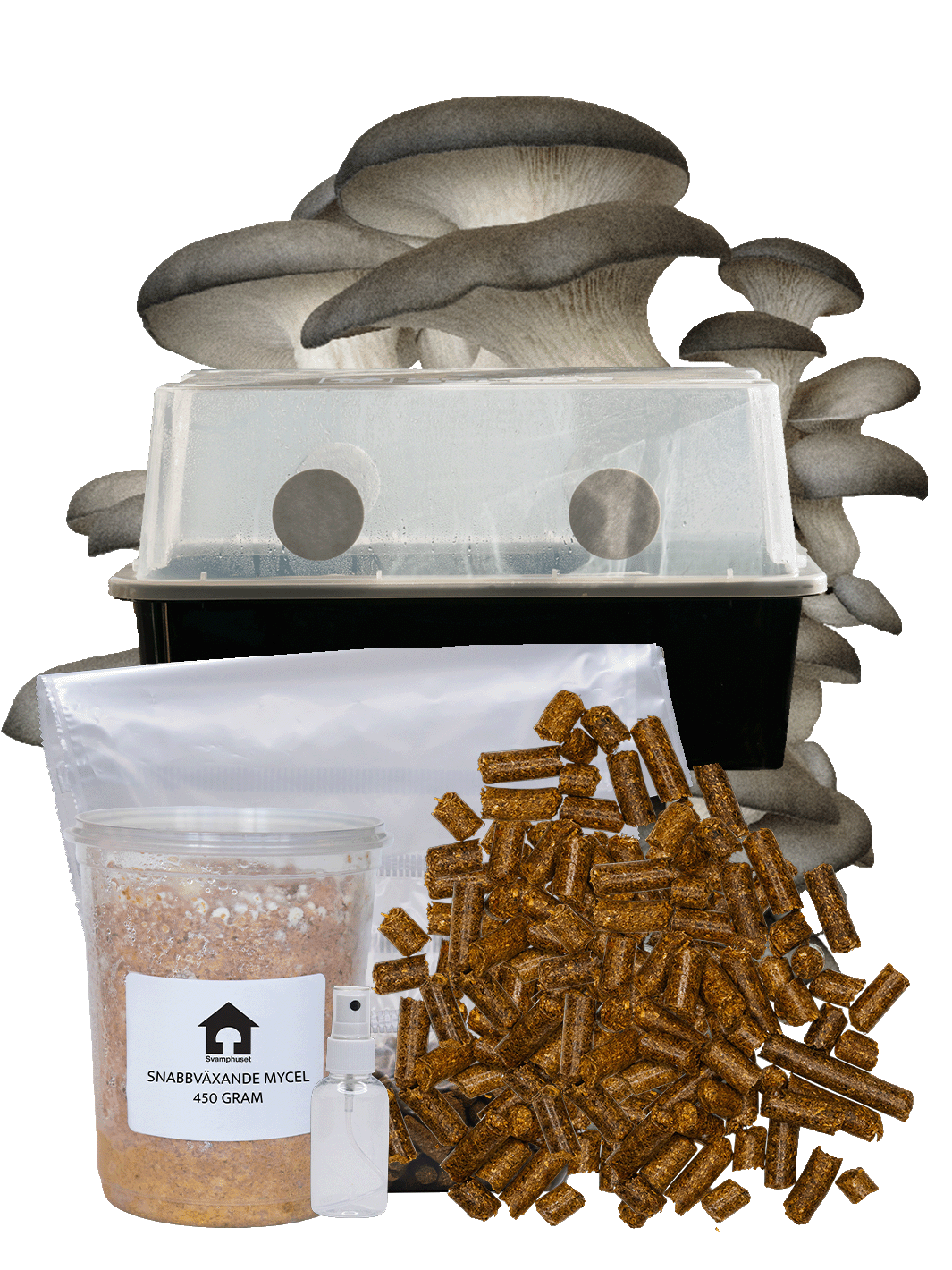 svamphuset komplett kit ostronskivling inomhusodling