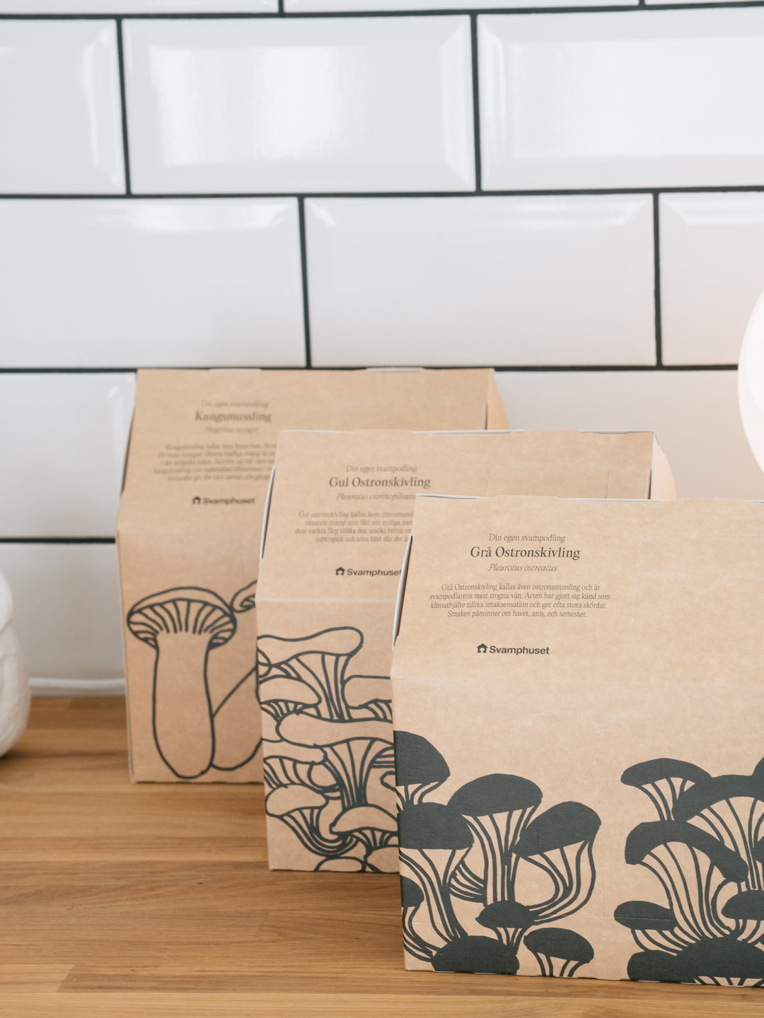 Svamphus-kit 25% mängdrabatt Svamphus-kit Svamphuset