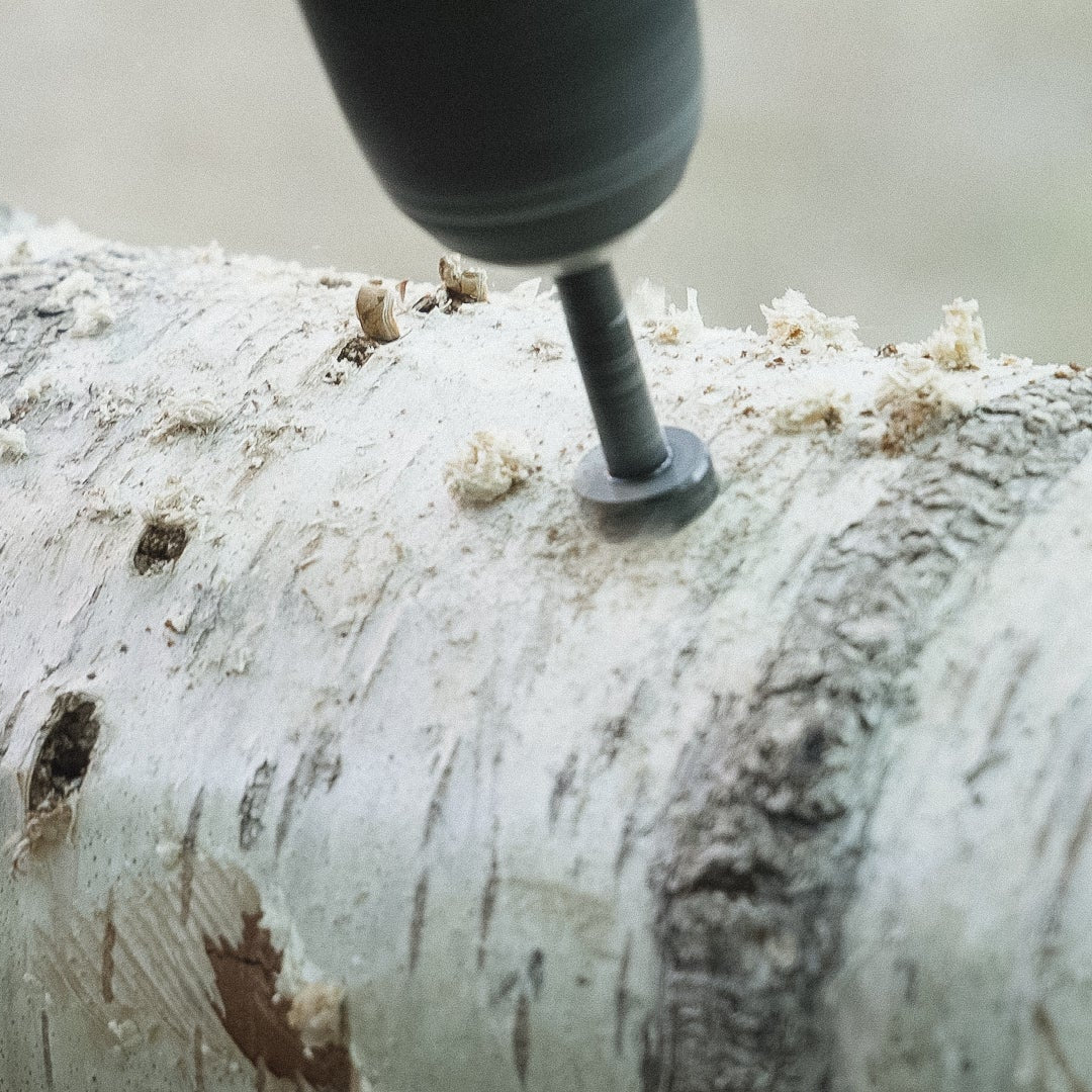 Mycelpluggskit Bästsäljare - Shiitake, Grå ostronskivling, Igelkottstaggsvamp mycelplugg-kit Svamphuset