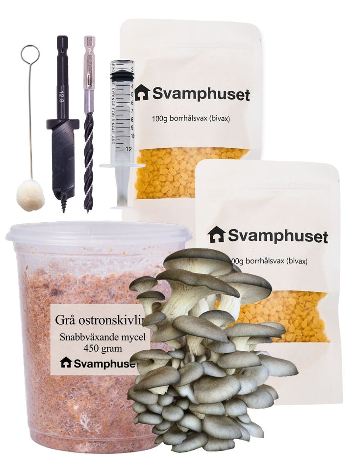 Ostronskivling - Stockodlings-kit (Pleurotus ostreatus) Stockodlingskit Snabbväxande Min butik   