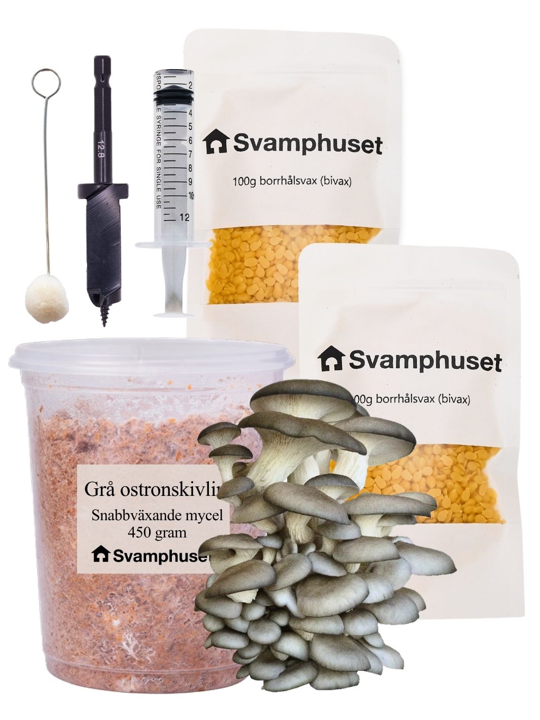 Ostronskivling - Stockodlings-kit (Pleurotus ostreatus) Stockodlingskit Snabbväxande mycel Min butik   