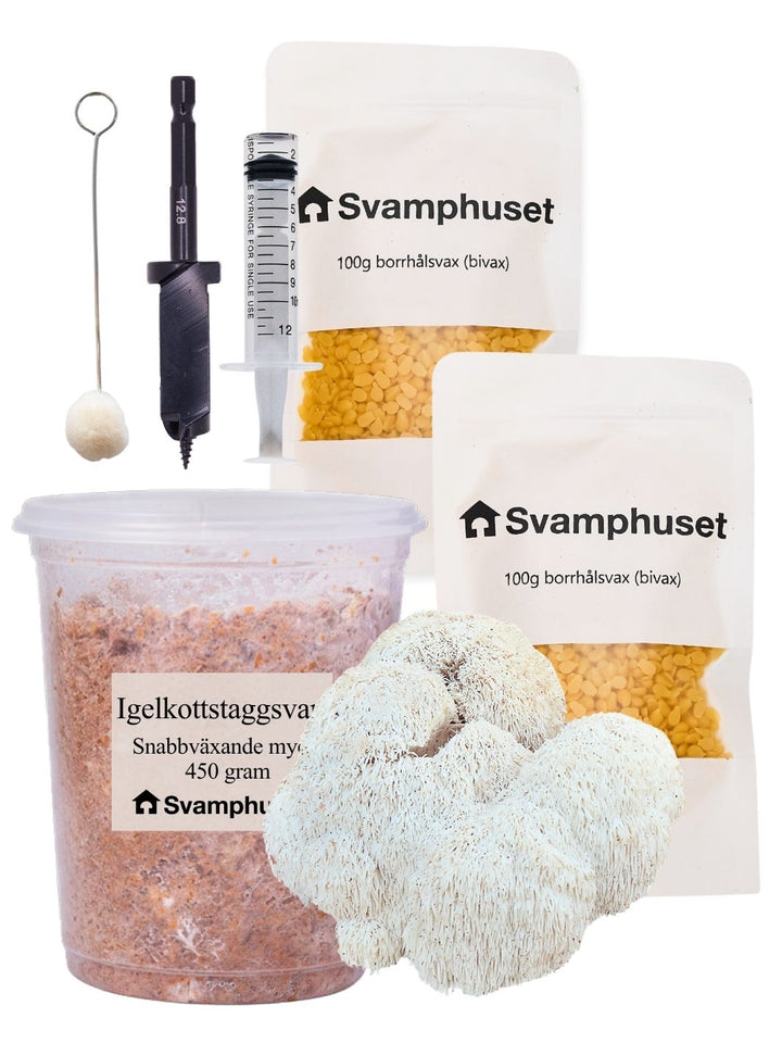 Igelkottstaggsvamp (Lions Mane) - Stockodlings-kit (Hericium erinaceus) Stockodlingskit Snabbväxande Min butik
