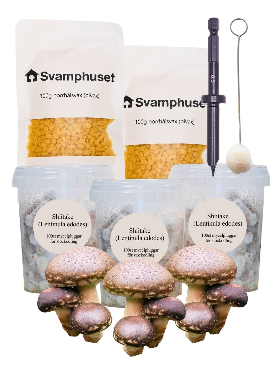 3-pack mycelpluggskit - 3 x Shiitake mycelplugg-kit Svamphuset